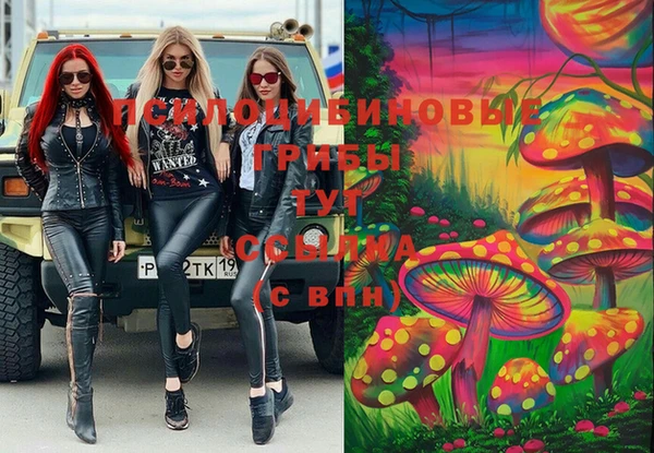 мяу мяу мука Алексин